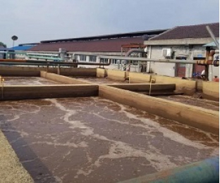 出水氨氮大于進(jìn)水氨氮，怎么回事？