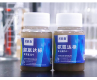 生化系統(tǒng)崩潰，氨氮超標(biāo)，我該怎么辦?
