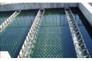 【干貨】生物濾池為什么一受沖擊氨氮去除率就會下降？